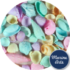 8066-P1 - Coloured Pastel Shells - Project Pack